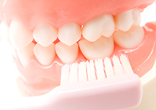 「歯は一生のもの」だから生涯にわたってのお口のメンテナンスが重要です