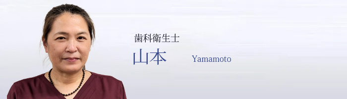山本 Yamamoto