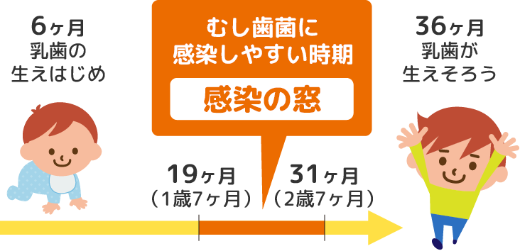 感染の窓をご存じですか？